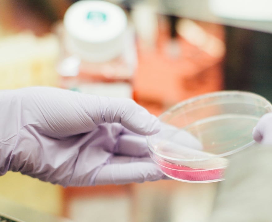 Dataweavers - Life Sciences, Healthcare & Manufacturing