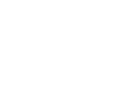 Bussq